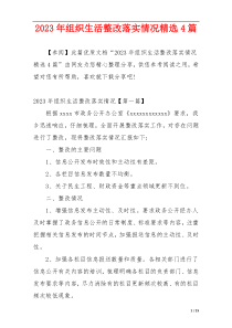 2023年组织生活整改落实情况精选4篇