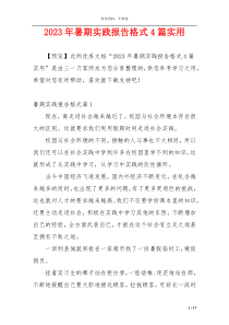 2023年暑期实践报告格式4篇实用