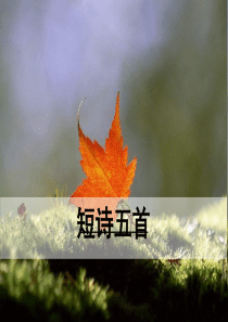 初中语文【9年级下】第一课时