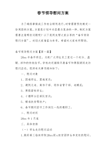 春节领导慰问方案