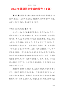 2023年暑期社会实践的报告（4篇）