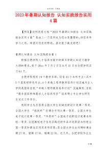 2023年暑期认知报告 认知实践报告实用4篇