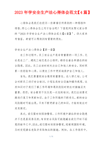 2023年学安全生产法心得体会范文【4篇】