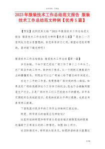 2023年服装技术工作总结范文报告 服装技术工作总结范文样例【优秀5篇】