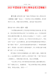 2023年团结奋斗的心得体会范文【精编5篇】