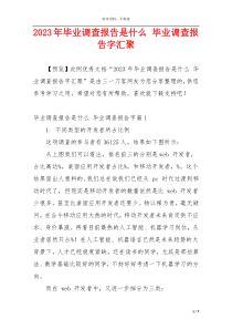 2023年毕业调查报告是什么 毕业调查报告字汇聚