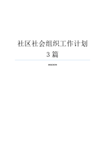 社区社会组织工作计划3篇