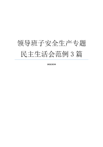 领导班子安全生产专题民主生活会范例3篇