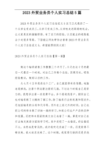 2023外贸业务员个人实习总结5篇