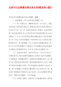 支部书记巡察整改情况报告范例【范例4篇】