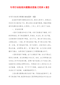 专项行动检视问题整改措施【范例4篇】
