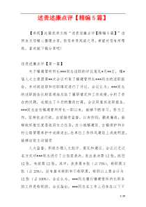 述责述廉点评【精编5篇】