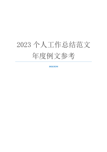 2023个人工作总结范文年度例文参考