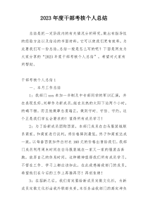 2023年度干部考核个人总结