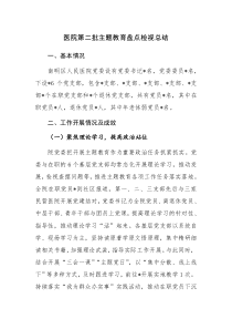 医院第二批主题教育盘点检视总结范文