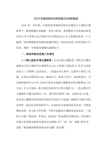 2023年度支部书记抓党建工作述职报告