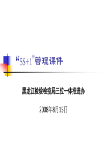 “5S1”管理课件