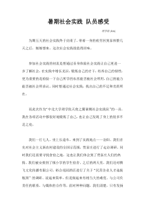 暑期社会实践-队员感受+个人简介