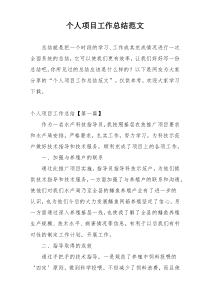个人项目工作总结范文