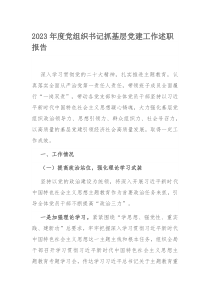 2023年度党组织书记抓基层党建工作述职报告