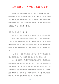 2023年店长个人工作计划精选5篇