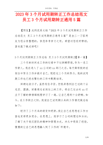 2023年3个月试用期转正工作总结范文 员工3个月试用期转正通用5篇