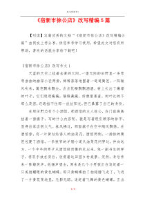 《宿新市徐公店》改写精编5篇