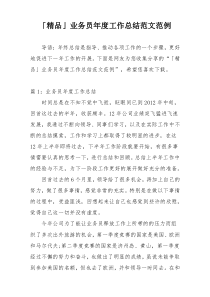「精品」业务员年度工作总结范文范例