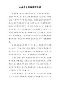 企业个人年度履职总结