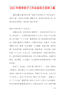 2023年领导班子工作总结范文范例3篇