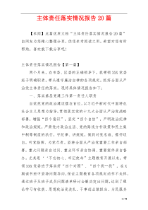 主体责任落实情况报告20篇