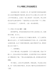 个人考核工作总结范文