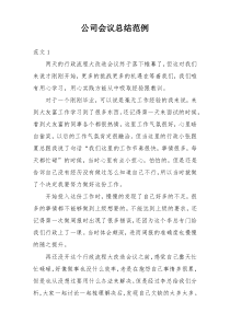 公司会议总结范例