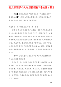 党支部班子个人对照检查材料【推荐4篇】