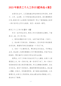 2023年新员工个人工作计划【热选4篇】
