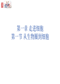 第一章第一节《从生物圈到细胞》公开课课件PPT