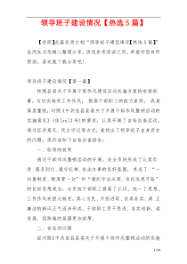 领导班子建设情况【热选5篇】