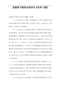 党委班子建设总体评价【实用4篇】