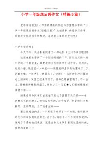 小学一年级观后感作文（精编5篇）