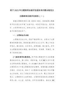 班子2023年主题教育自查评估报告和问题台账范文