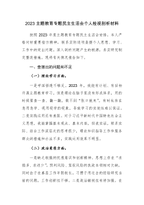 2023主题教育专题民主生活会个人检视剖析材料及党性分析材料范文2篇
