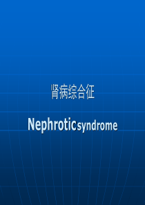 肾病综合征(呕心沥血之作)