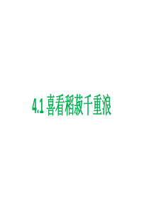 《4.1 喜看稻菽千重浪――记首届国家最高科技奖获得者袁隆平》获奖说课课件ppt