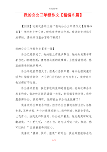 我的公公三年级作文【精编5篇】