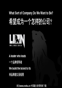 男士内衣LION品牌策划（PPT 37页）