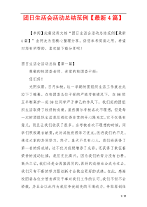 团日生活会活动总结范例【最新4篇】