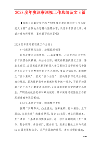 2023度年度巡察巡视工作总结范文3篇