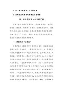 第二批主题教育工作总结汇报范文2篇