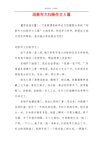迎新年大扫除作文5篇