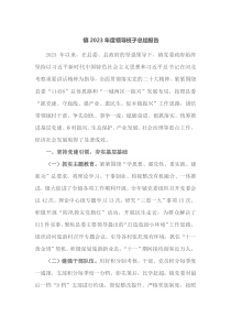 镇2023年度领导班子总结报告